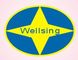 NANTONG WELLSING TRADE CO., LTD.