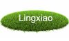Lingxiao (Ningde) Trading Co., Ltd