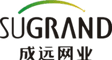 Hefei Grand Nets Co., Ltd.