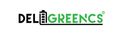 Changsha Deligreen Power Co., Ltd.