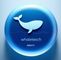 Sichuan Whale Age Digital Technology Co., Ltd.