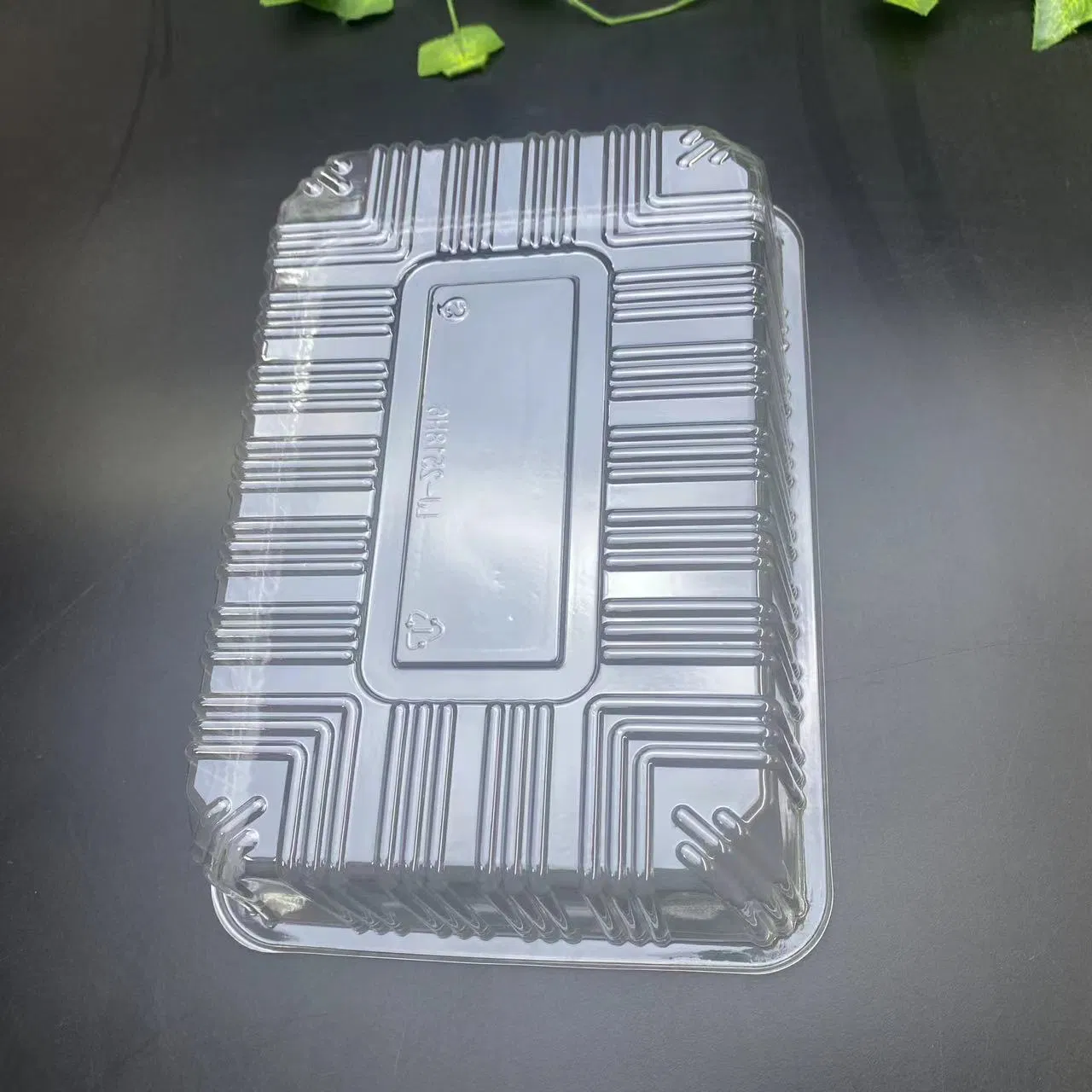 Disposable packaging vacuum forming plastic tray for microgreen lettuce