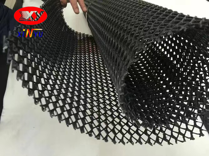 Two Dimension 4mm 5mm 7mm 6mm Geocomposite HDPE Biplanar Drainage Geonet Hot Bonded with One or Two Sides Geotextile Factory Price