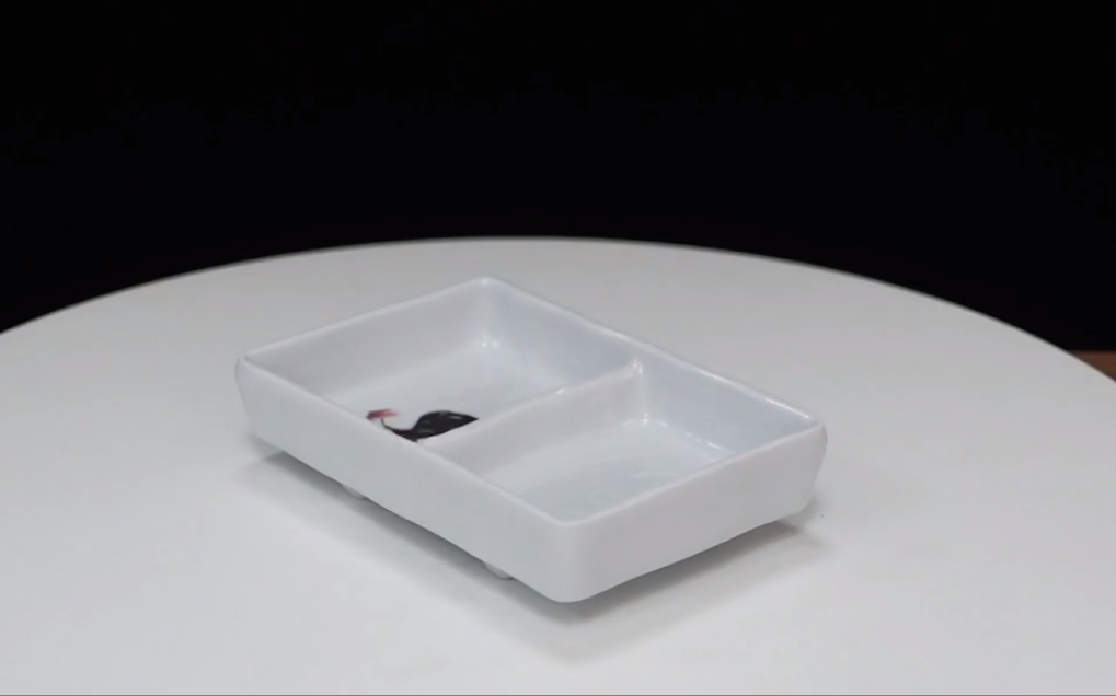 Wholesale Melamine Factory Direct Sale Best Price 2-Divided Sauce Dish