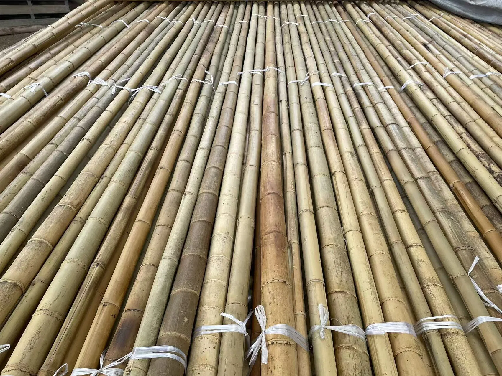 High Quality Giant Bamboo Poles for Gardening and Plant Support Bulk Order