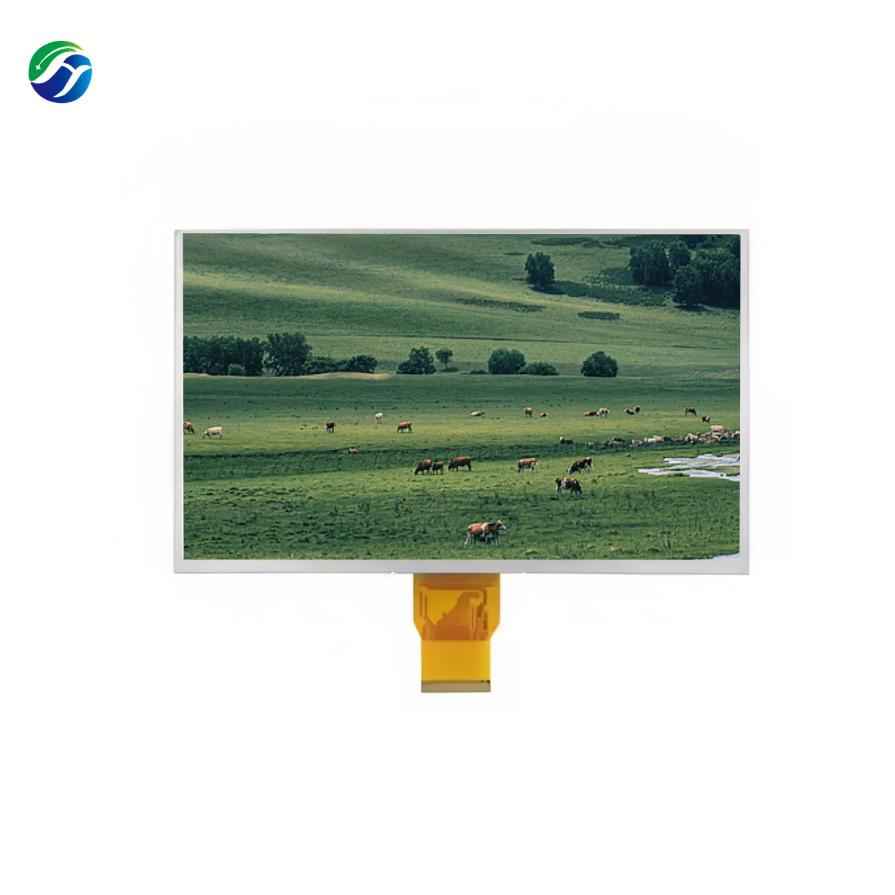 9 Inch TFT LCD Monitor for Car Video Camera and Recorder