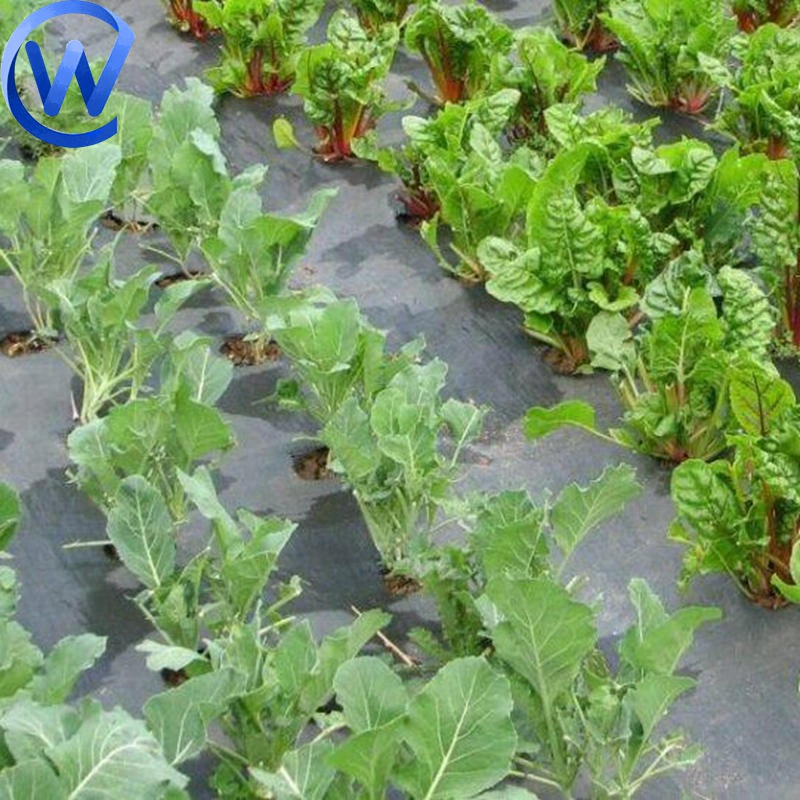 Premium Agricultural Weed Control Barrier Mat for Gardens