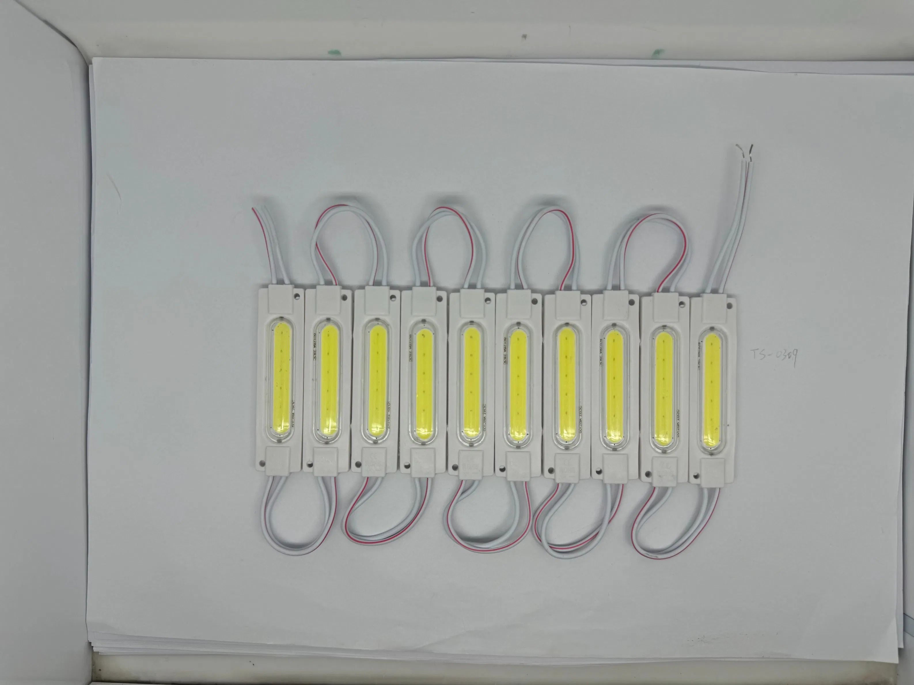 12V High Brightness Waterproof COB LED Module