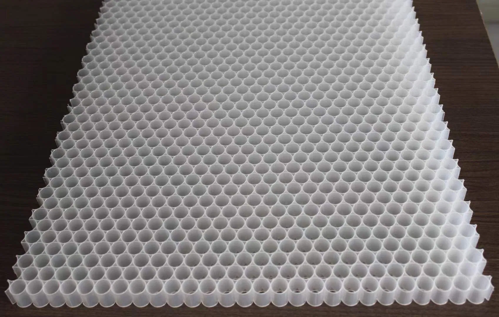 Premium 20-Year Warranty PP Honeycomb Panels for Modern Construction