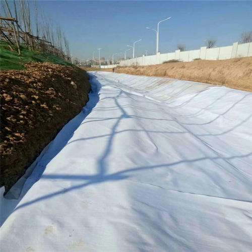 3D Composite Drainage Geonet for Landfill