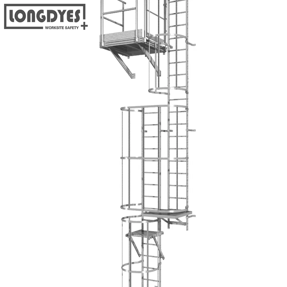 Tri-Arc Engineered Access Platforms Wall-Mount Aluminium Fixed Ladder
