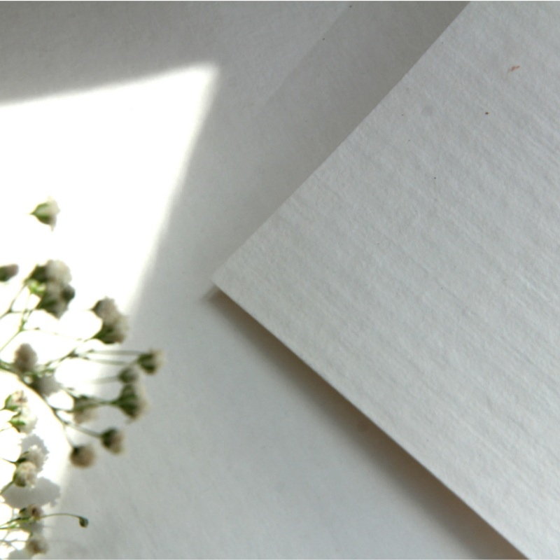 Bleached and Unbleached Sugarcane Bagasse Pulp Food Grade Bagasse Pulp Board for Tableware Plate Tissue Making