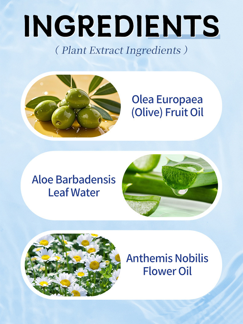 Hand Soap with Aloe Vera Olive Oil Essential Oils Antibacterial Hand Wash Soap Lasting Fragrance