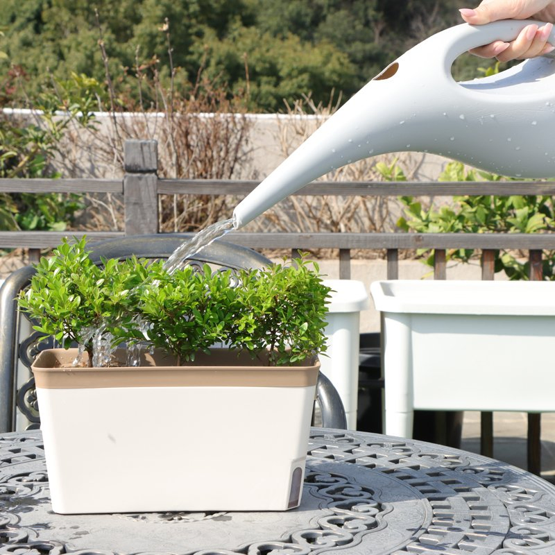 Garden Supplies Artistic Lightweight Plastic Watering Can 1.5L Indoor Outdoor Once-Through