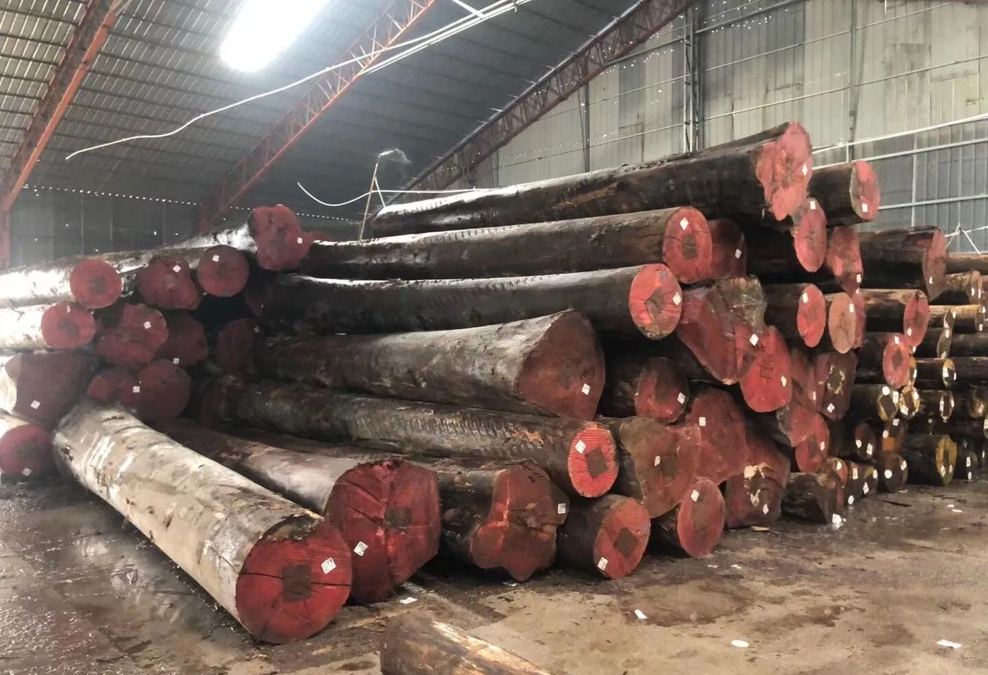 2.8X1.9 Large Size Rotary Cut Okoume Face Veneer