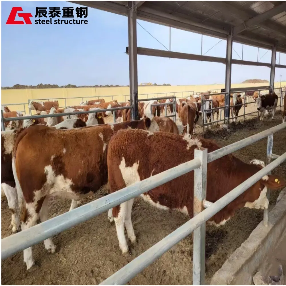 Professional Custom Long-Span Portal Steel Frame Structure Steel Structure Farm Is Used for Chicken Coop Cowshed