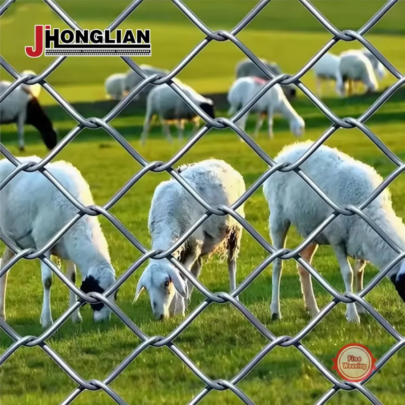 Heavy Duty Corrosion Resistant Chain Link Fencing for Long-Lasting Use