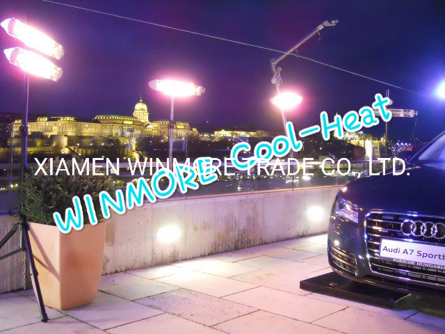 Quartz-Halogen Radiators IP65 Waterproof Heater with Remote Control for Auto Show/Car Parking