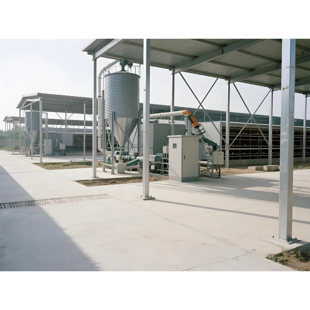 Good Lighting Ample Exercise Space Prefabricated Steel Chicken Coop