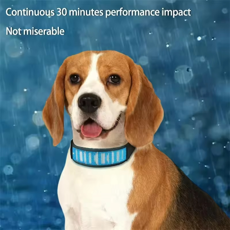 Hot Selling Large Dogs Customizable Logo Smart APP LED Band