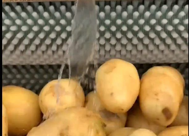 Multifunctional Automatic Carrots Potatoes and Other Vegetables Peeling and Cleaning Machine