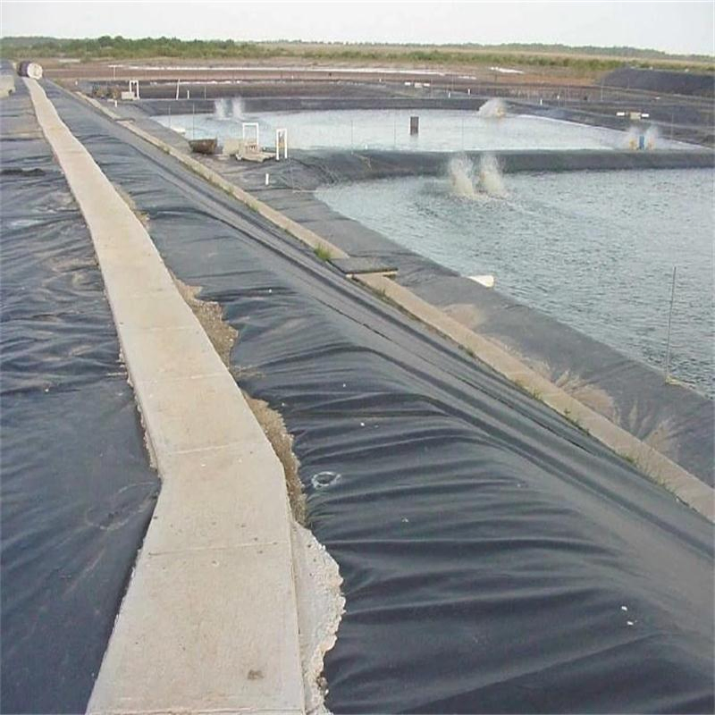 1.5mm HDPE Geomembrane Pond Liner for Aquaculture Water Containment