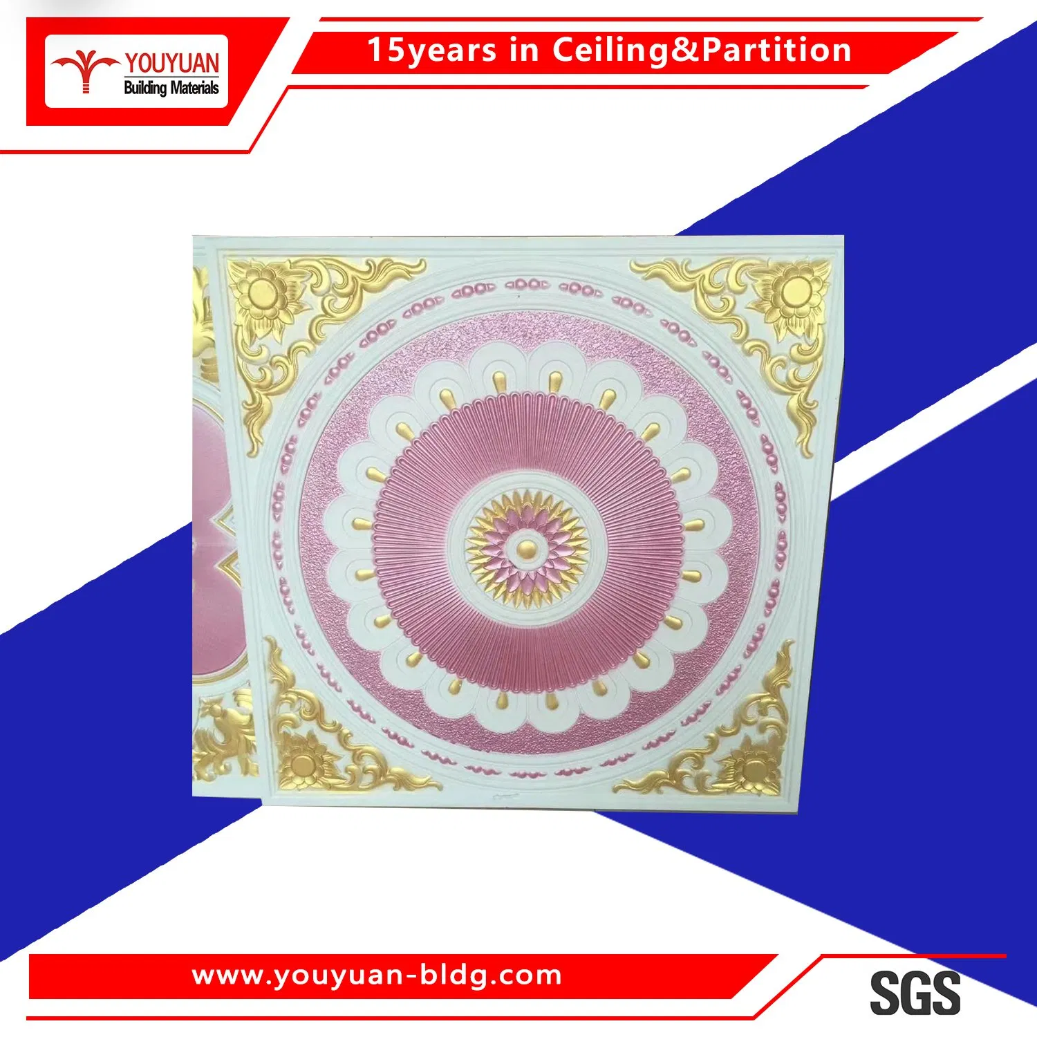 Construction Decoration Products New Building Materials for Ceiling
