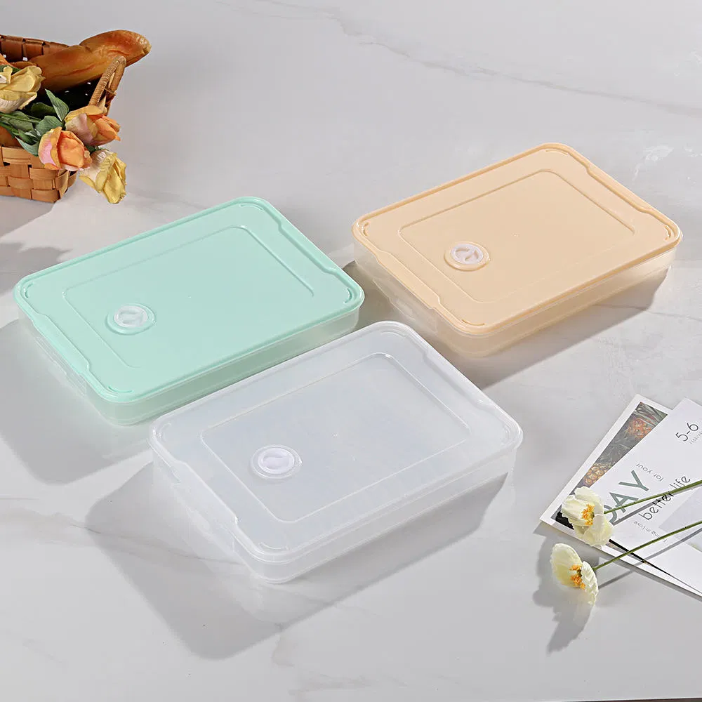 Food-Grade Three-Color Rectangular PP Dumpling Storage Container