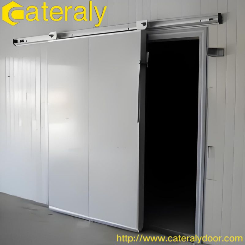 Versatile Automatic Sliding Cold Storage Door for Efficient Cold Chain Solutions