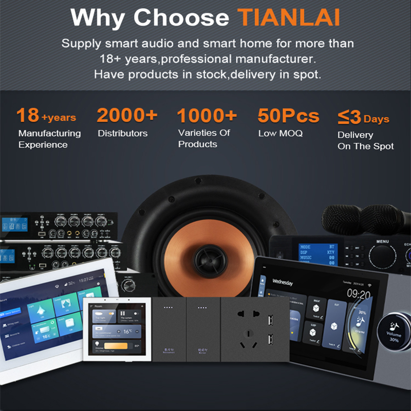 Tianlai Tl-D6 Professional High Quality 6 Inch Subwoofer Speaker House Subwoofers for Home Theater System