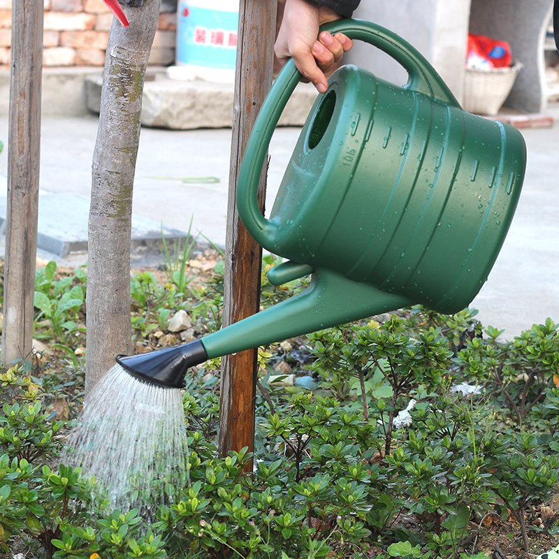 5L/10L OEM Agriculture Can Long Spout Flower Home Garden Watering Can (WNC002)
