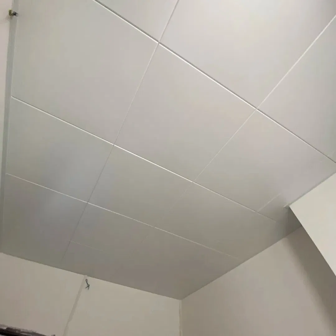 Unique Customized Aluminum Ceiling - Choose Between Plain and Perforated