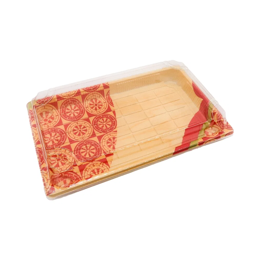 High Capacity Disposable Plastic Easy to Take Away Sushi Packaging Box