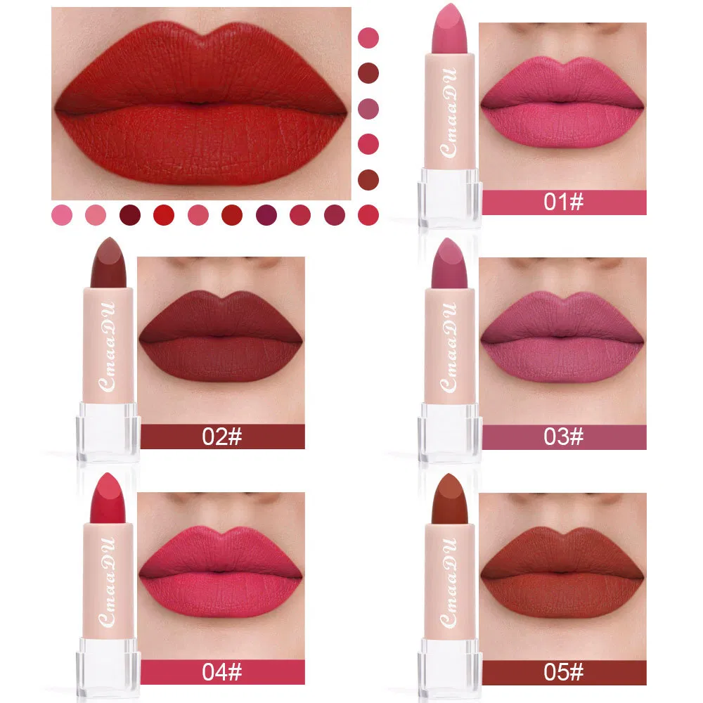 Long-Lasting Matte Lip Gloss with Glossy Finish Cream Mineral Makeup Velvet Lip Color Rendering