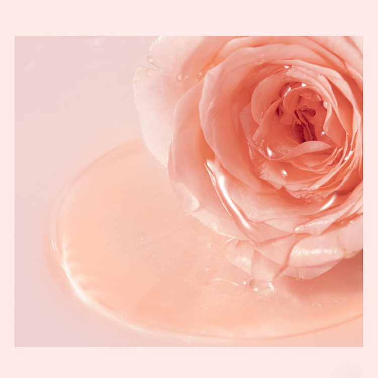 Hot Selling Skin Care Organic Skin Care Products OEM Private Label Rose Essence Skin Care Set