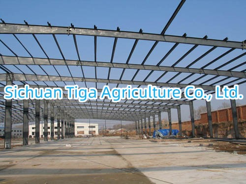 Customized Steel Structure Constructions for Factories, Warehouses, Cold Storages and Green House