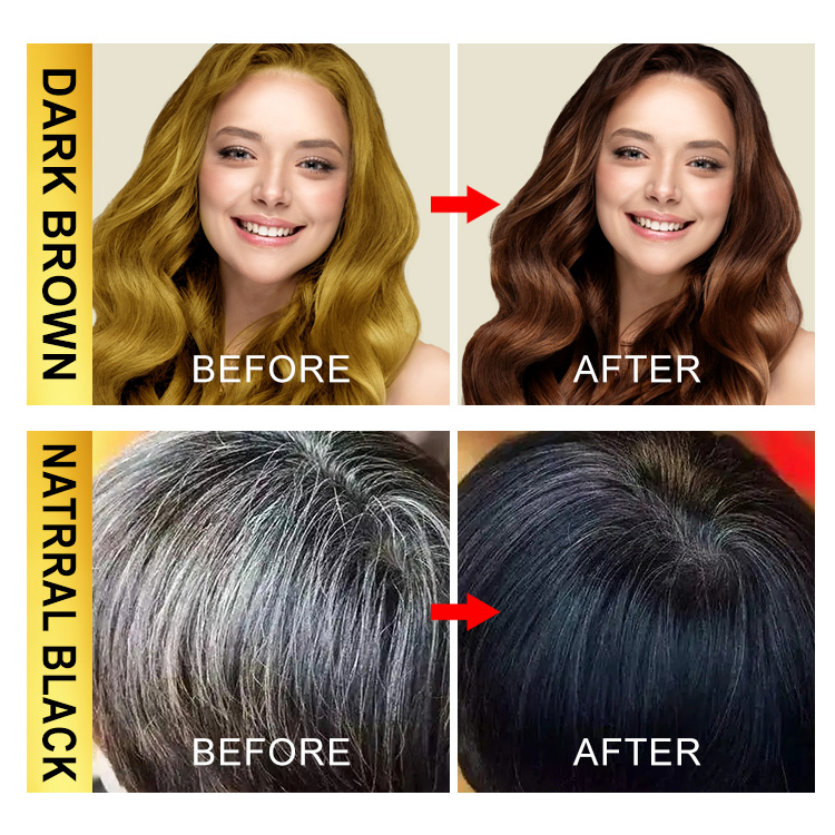 Veinira Popular Shampoo Hair Color for Salon & Home Use Botanical Formula Cover Grey Hair Tintes Para EL Cabello