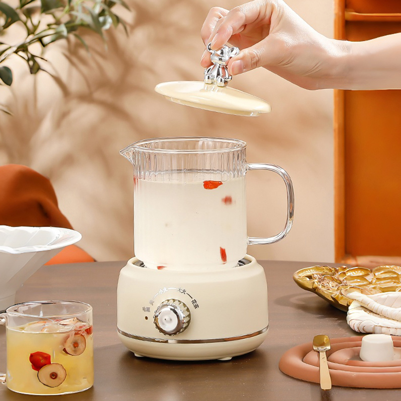 Kaiershi Jj-K500b Best Multipurpose Glass Health Kettle with Mechanical Control