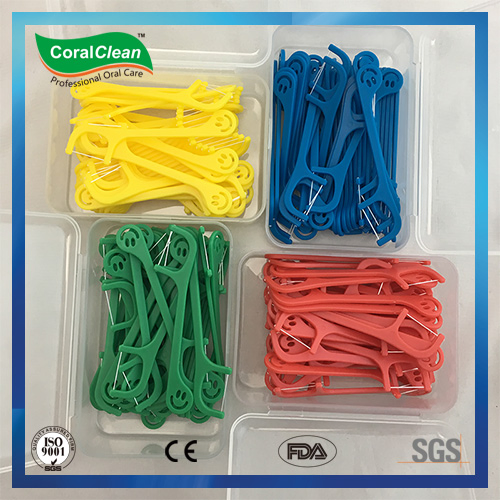 Colorful Toothpick for Kids, Flosspick