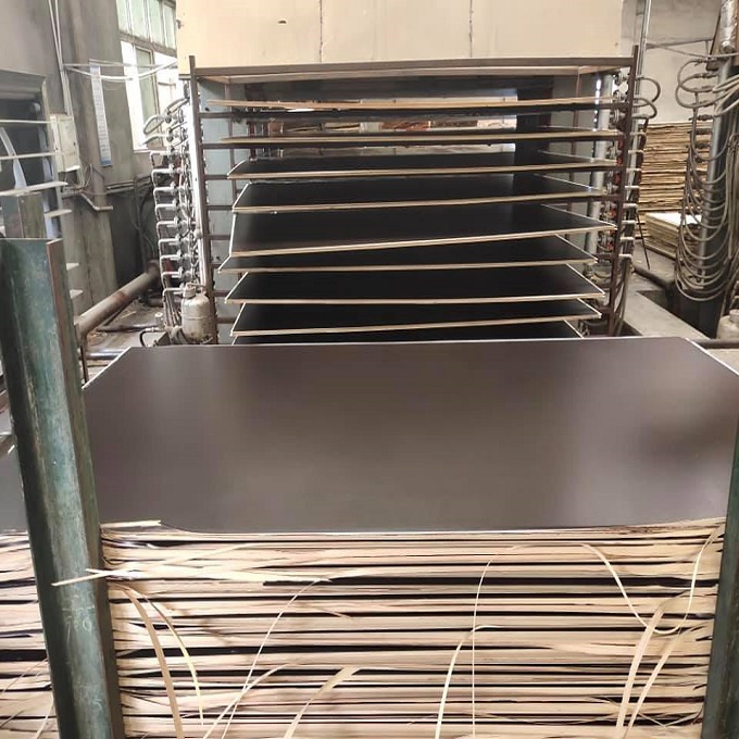 Wood Furniture Construction Plywood Film Faced Plywood