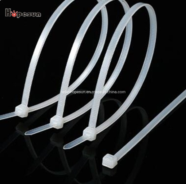 Nylon Binding Tie Straps Hpw132