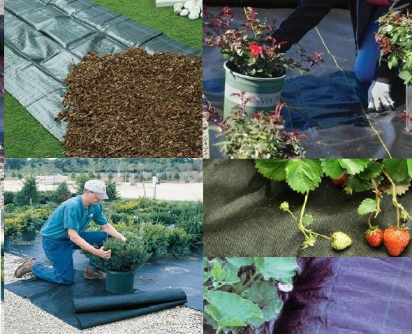China Direct Factory Weed Control Fabric /Weedstop Fabric /PP Woven Ground Cover