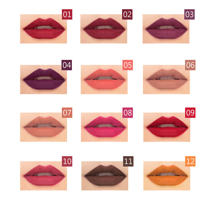 Natural Vegan Long-Lasting Customize Matte Finish 12PCS Lip Liner Pencil Set
