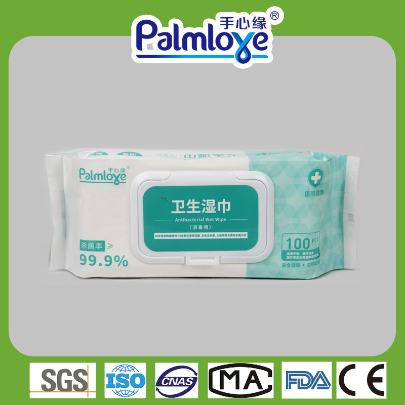 Hygiene Wet Wipes Factory