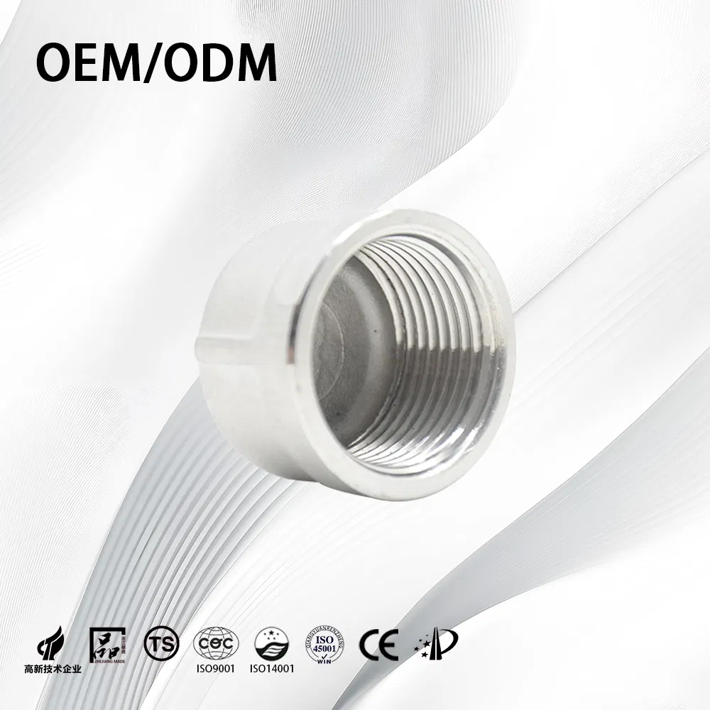 Stainless Steel Customize ANSI B16.9 Threaded Tube End Cap with Sand Rolling
