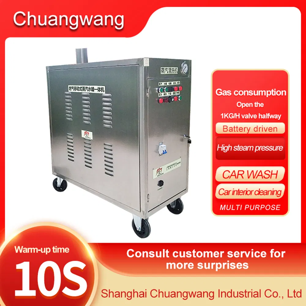 High - Performance Pump Gas-Heated Intelligent Control Car Steam Cleaner Automatic Machine