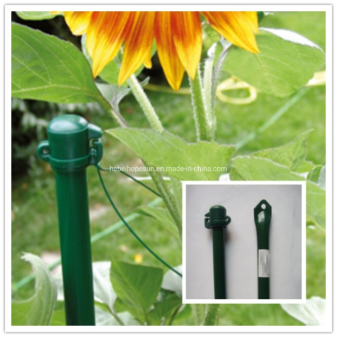 Plastic Powder Coated Garden Stake, Fence Post, Post for Plant