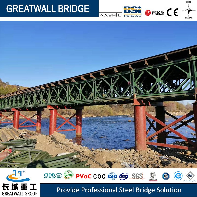 Professional Standard Panel Bridge Modular Bridge Construction