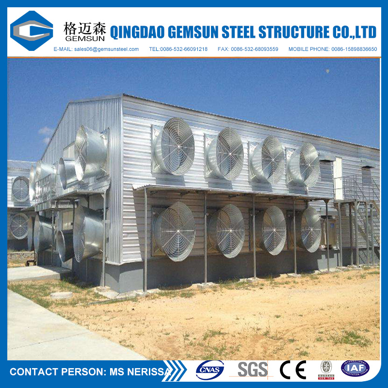 Steel Structure Poultry Farm Shed Chicken Layers House