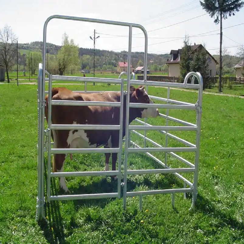 Heavy Duty Wholesale Bulk Galvanized Sheep Panel Livestock Farm Yard Cow Cattle Corral Panels Used Cattle Fencing for Sale